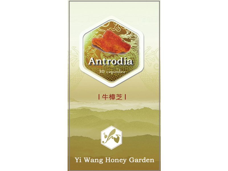 Antrodia Capsules